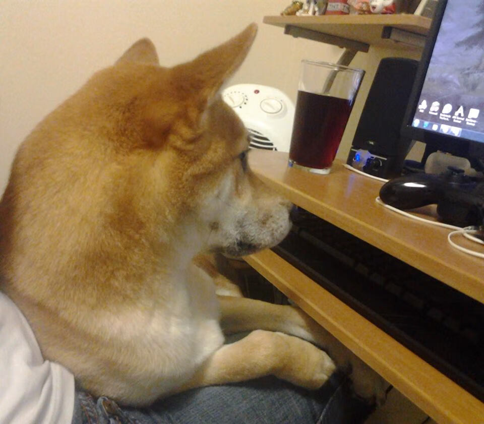 开云体育2026-一箭穿申，西亚卡姆末节关键先生，火箭队刺破上海队不败金身