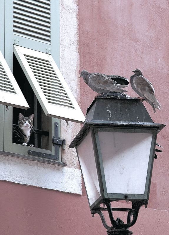 当东方太极虎遭遇安达卢西亚雄狮，罗德里的冠军棋局如何定义现代足球