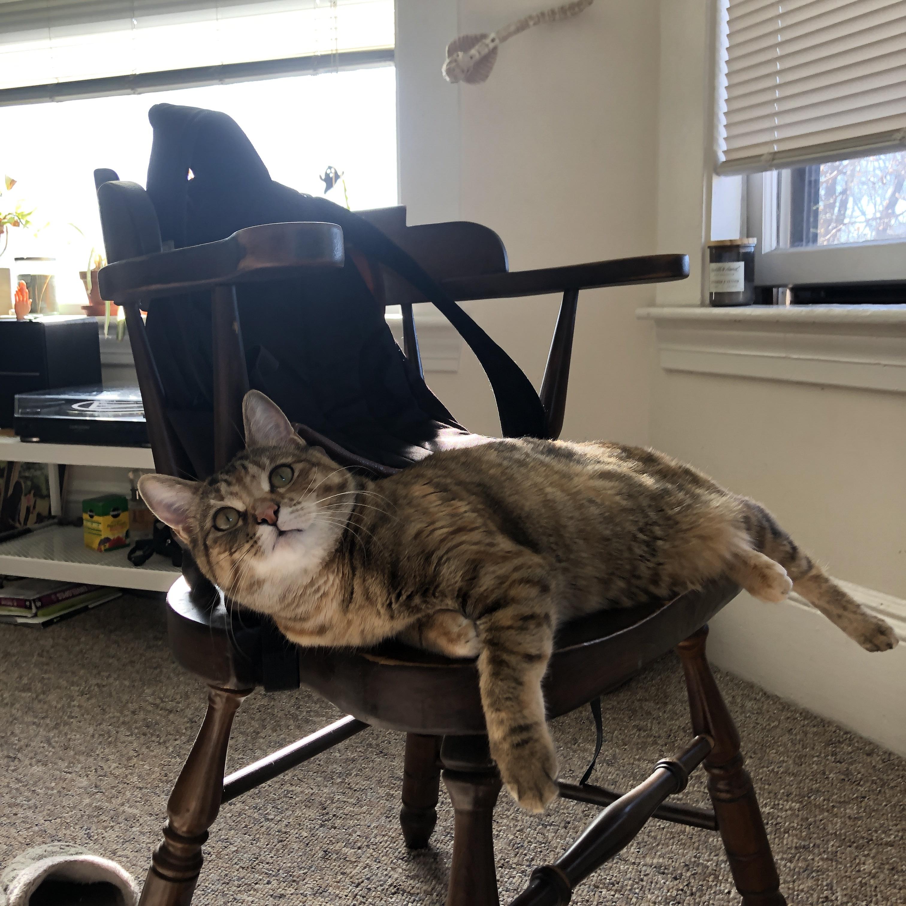 开云体育登录-奥运周期关键战之夜，卡马文加—越宏大舞台，越璀璨锋芒