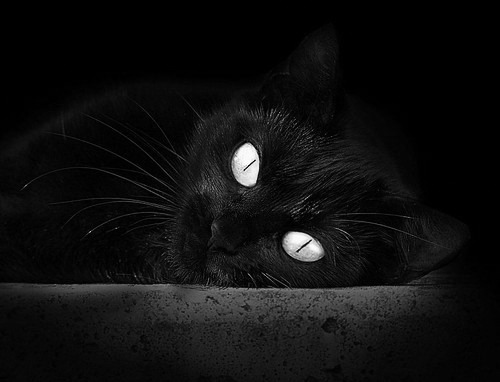 钢铁意志撕裂鹿群,一场名为恩比德的独白,篮网强行终结雄鹿的哲学