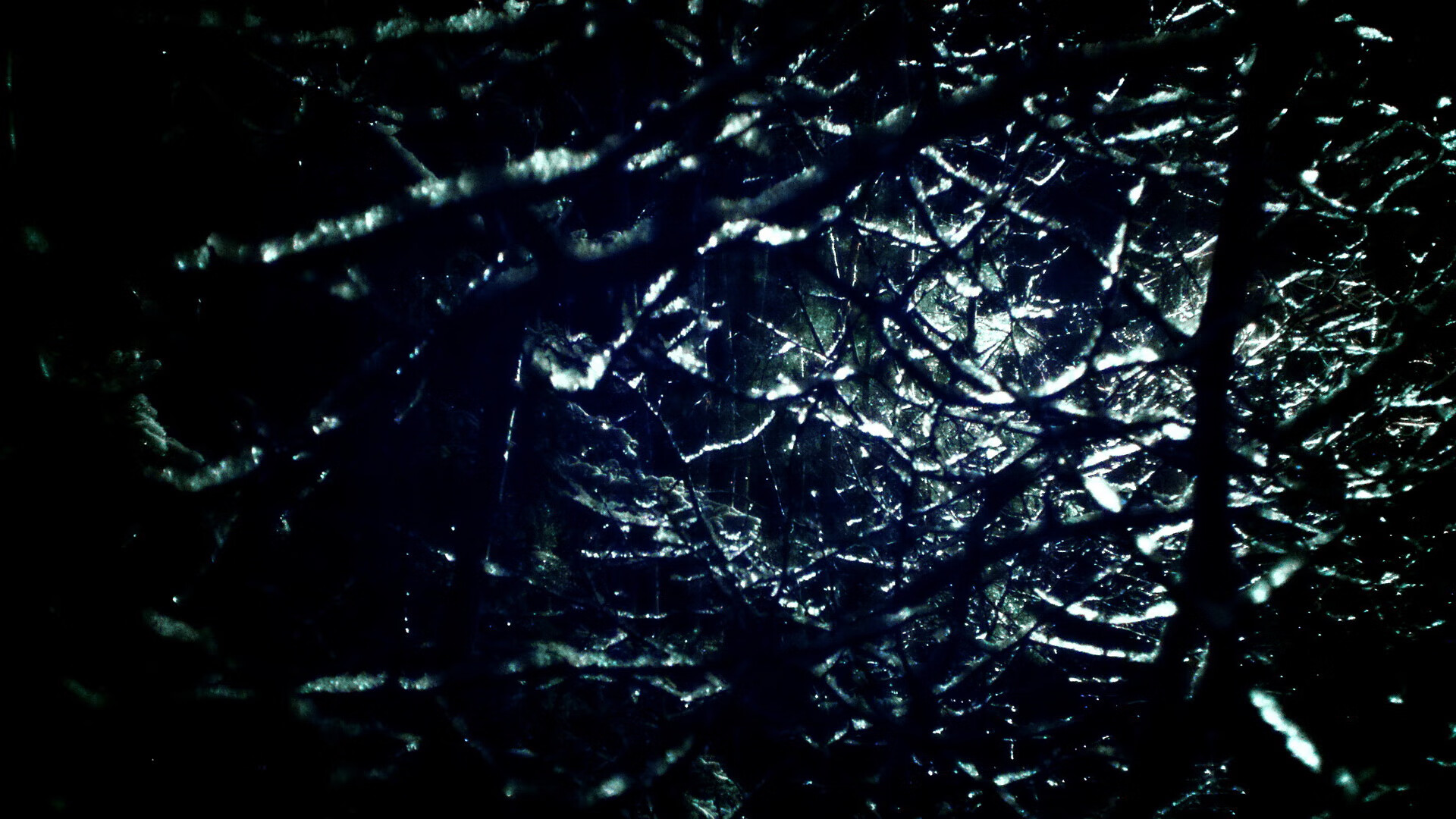 永恒之城的光辉,佛罗伦萨正面击溃法国,佩德里关键进球铸就经典