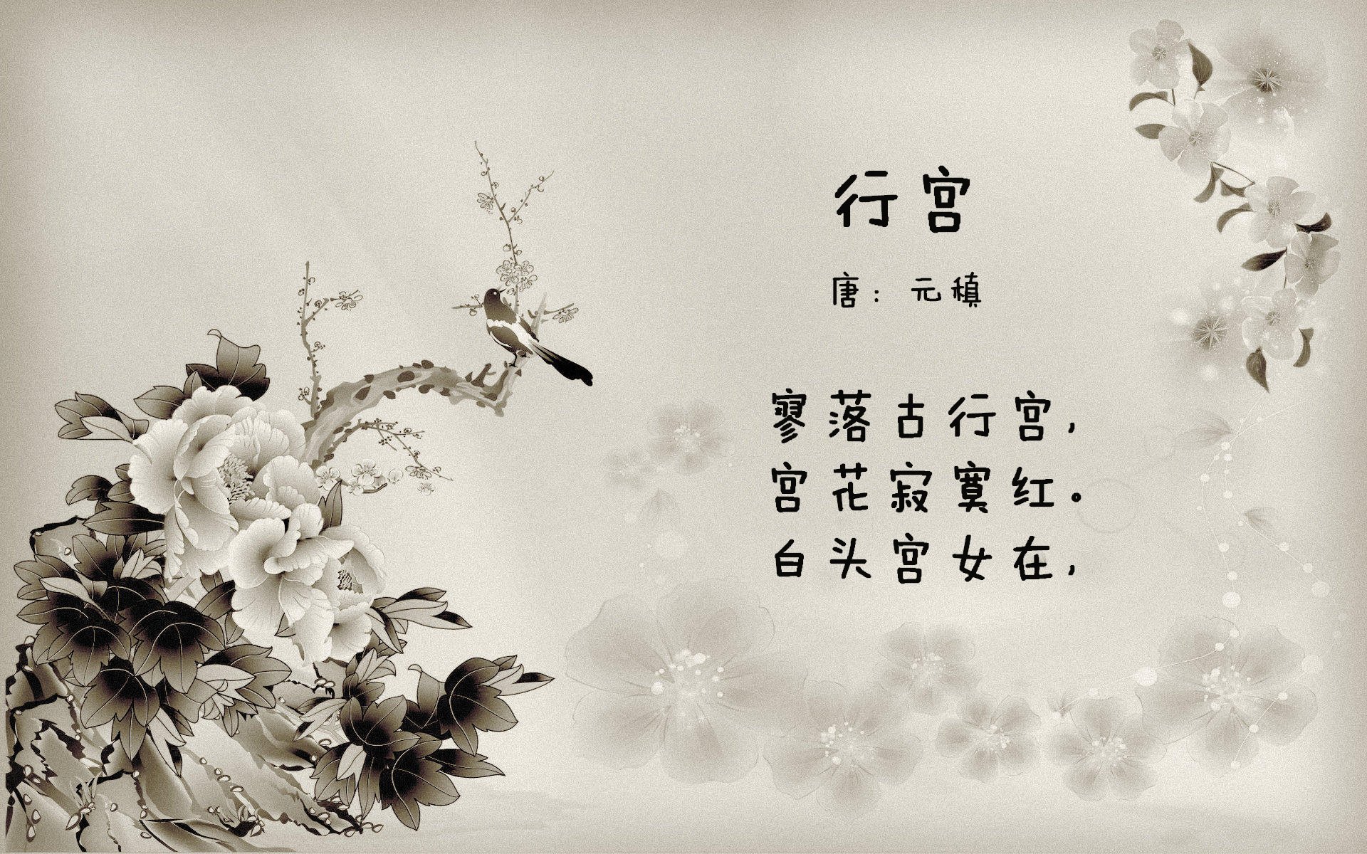 撰写与批改,步行者的华丽篇章与字母哥的满分评语