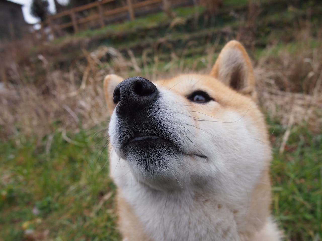 虚拟交锋，真实评分，当布伦森在元宇宙里打爆广东队