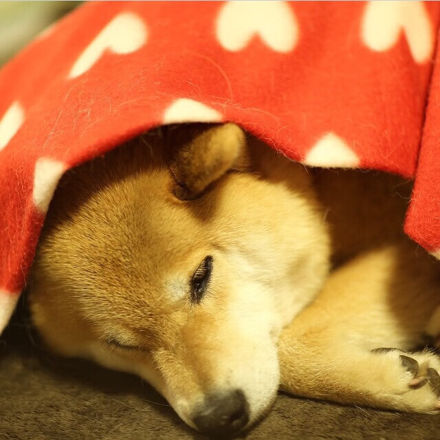 开云体育-唯一的光，在罗马上空，赖斯用实力撕碎所有质疑