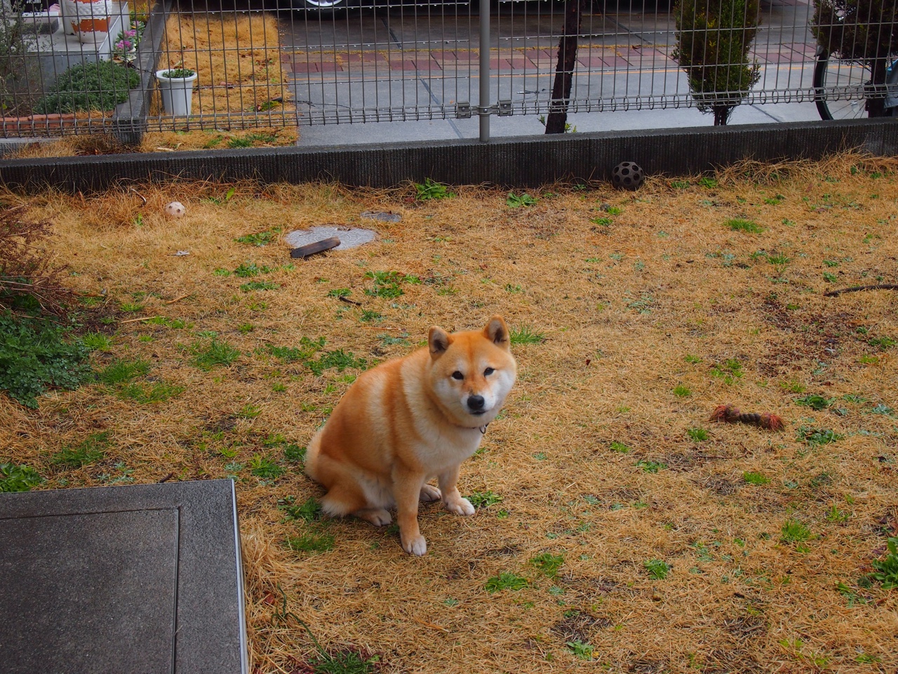 开云体育-坎特全场最佳无争议，玻利维亚与墨西哥激战中的绝对主宰