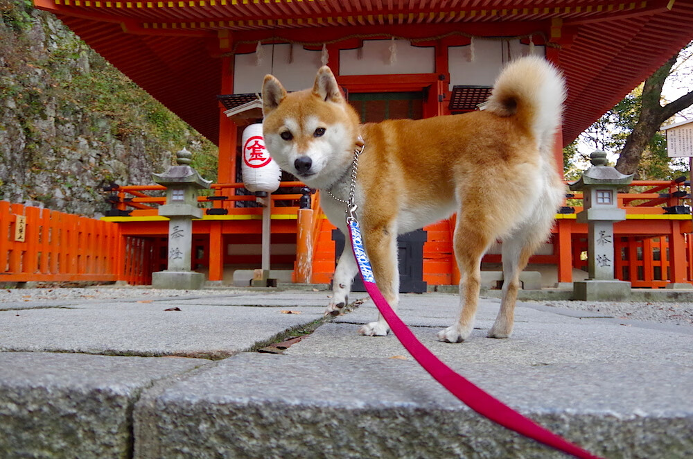 史上唯一，当永恒之城遇见千湖之国，托尼铸就无法复刻的传奇之夜