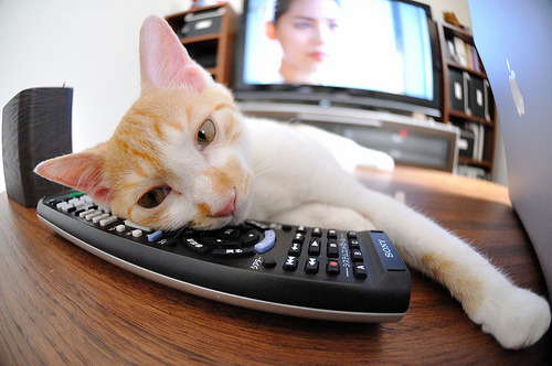 开云体育入口-绝境重生！辽宁队生死战力克骑士，西亚卡姆化身关键先生定乾坤