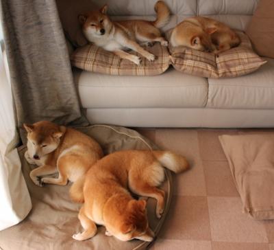 开云体育在线-双城记，安菲尔德的飓风与迈阿密的热浪—绝境孤胆的英雄共鸣