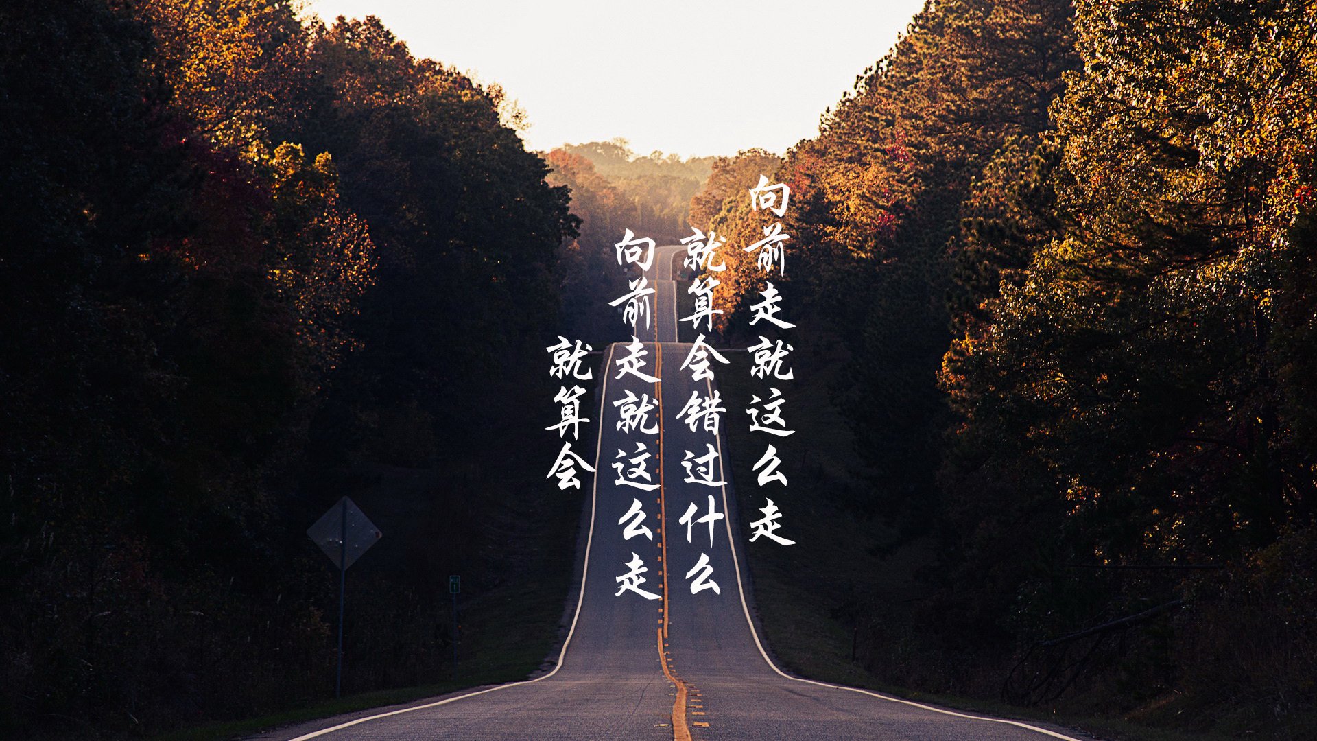 蓝色多瑙河的复仇,当战术降维打击技术足球—解构匈牙利如何用非典型控球在2026世界杯F组掀翻阿根廷