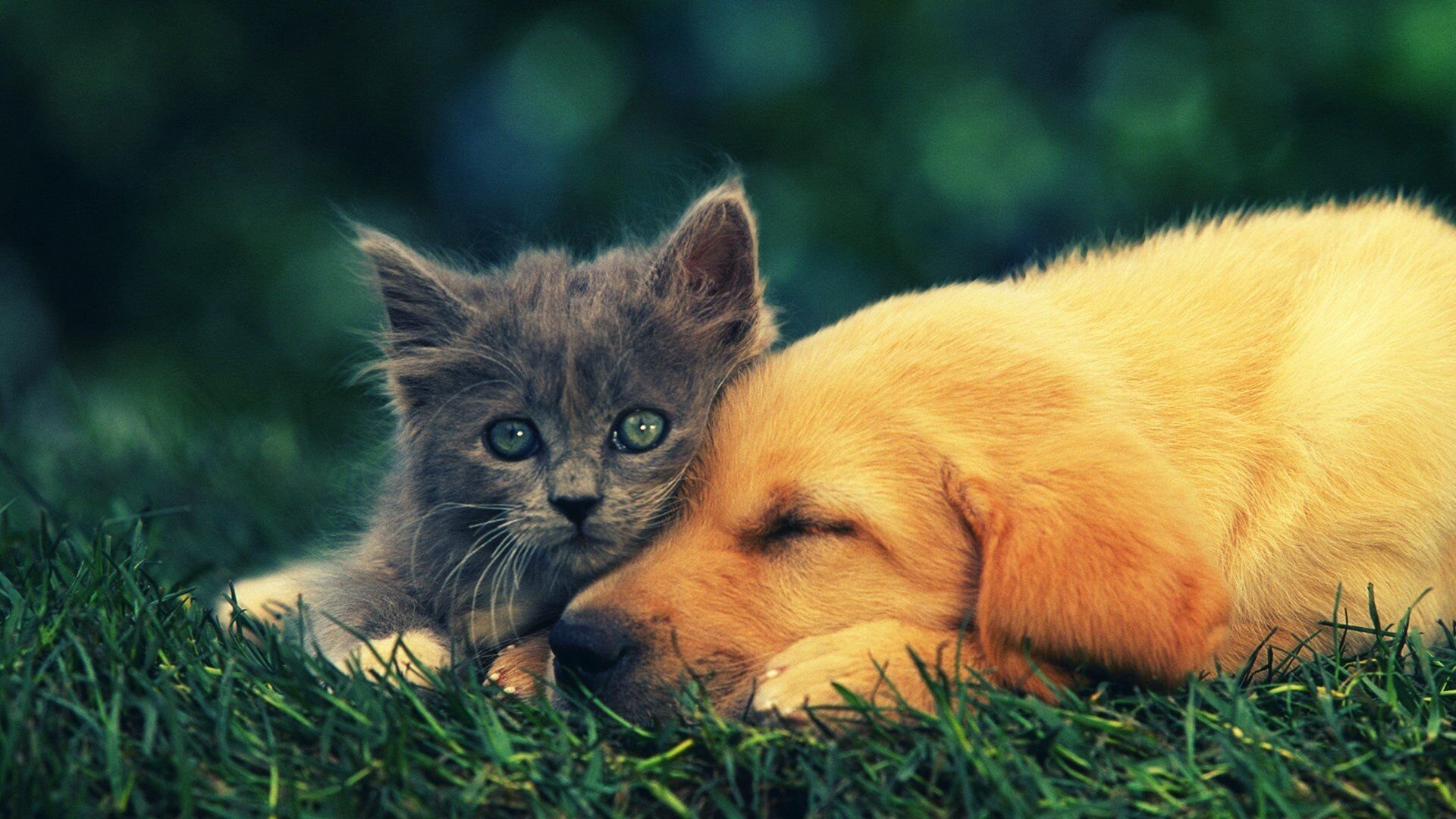 独步A组!哥斯达黎加横扫智利,阿方索戴维斯闪耀全场创唯一纪录