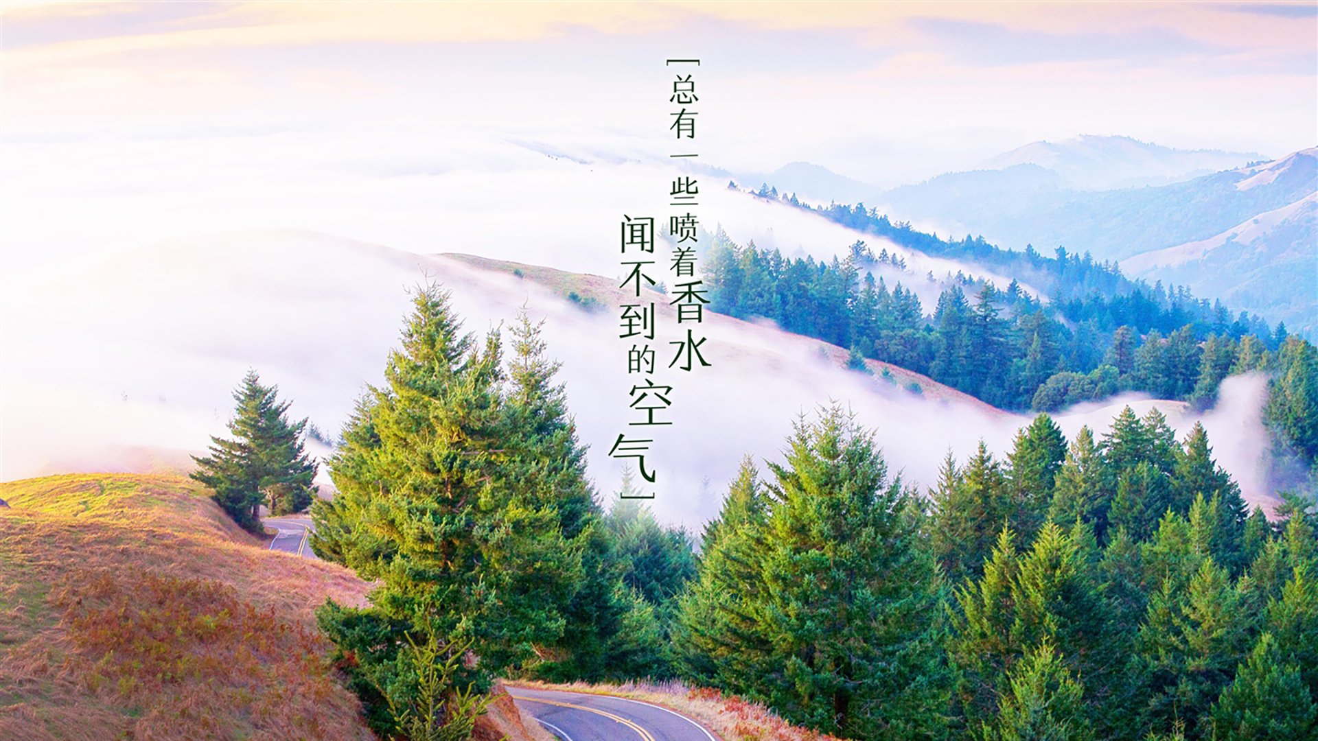 致命一击与窒息防线,当世界杯由蓝色Define—记2026世界杯E组那场唯一的博弈