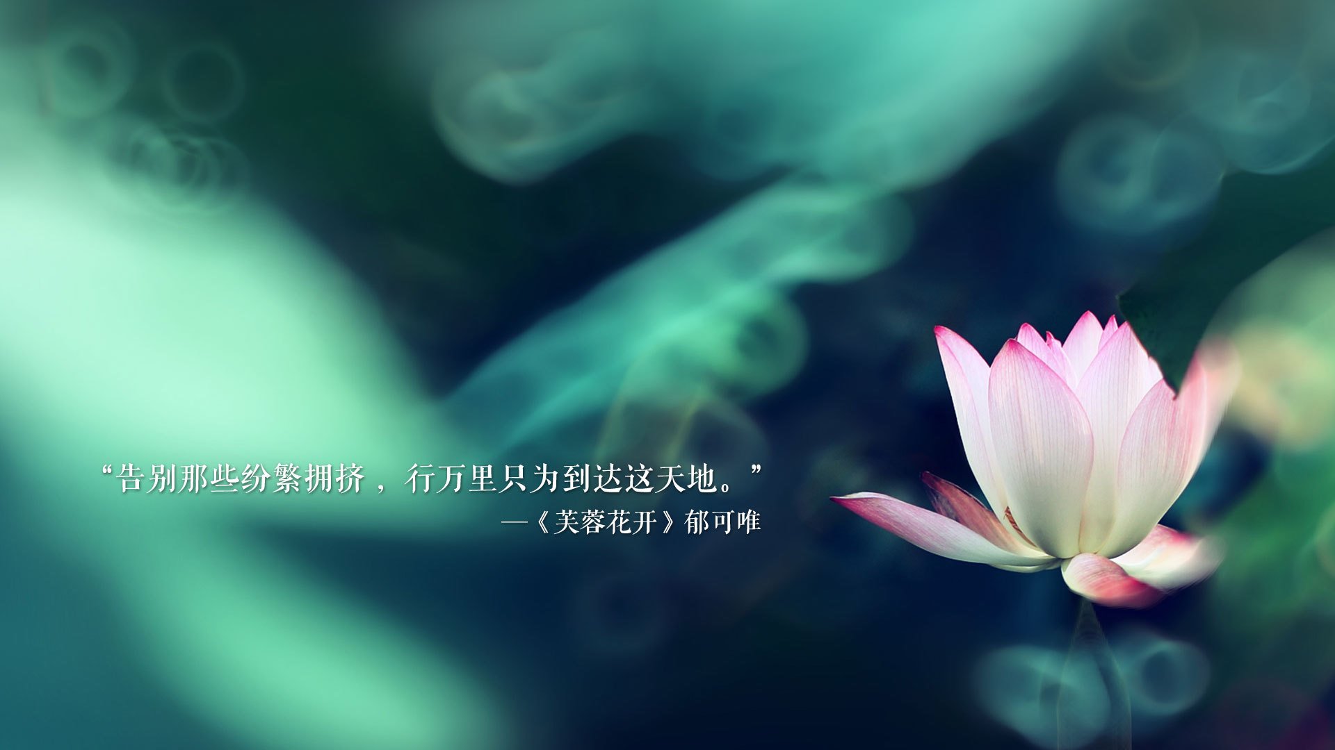 血战终章,三笘薰的孤勇与瑞典冰锋—2026世界杯半决赛,绝杀背后的钢铁对决