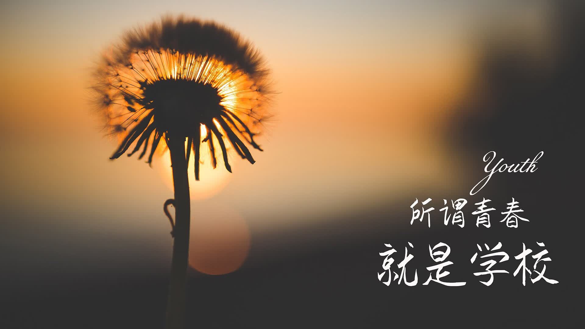 从黄金双枪到唯一解,2026世界杯D组,智利如何用苏亚雷斯的孤注一掷击穿泰国铁桶阵